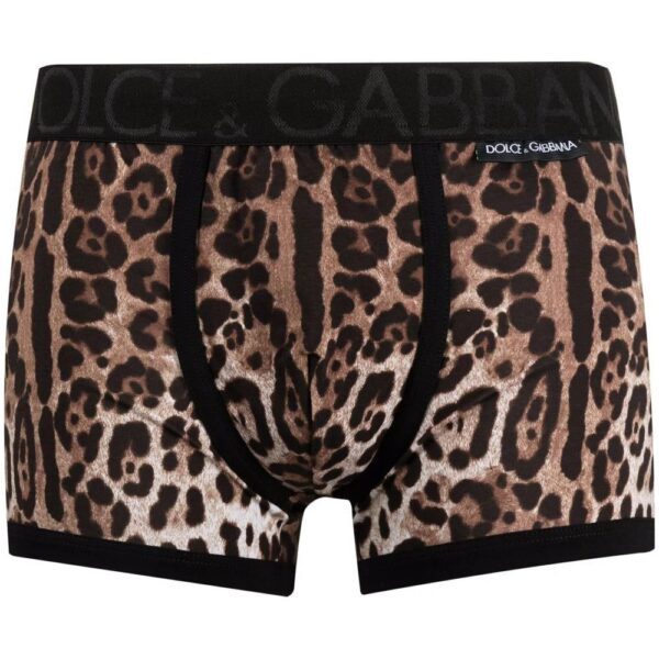 Dolce & Gabbana  leopard-print boxer trunks