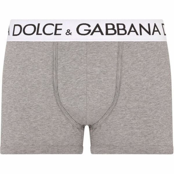 Dolce & Gabbana  logo-waistband stretch briefs