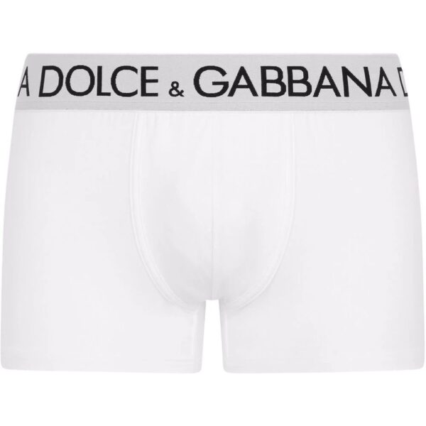 Dolce & Gabbana  logo-waistband stretch briefs
