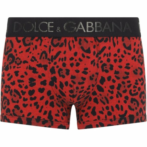 Dolce & Gabbana  leopard-print logo waistband boxers