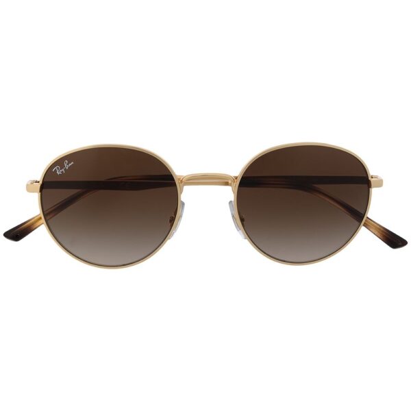 Ray-Ban RB3681 round-frame sunglassess