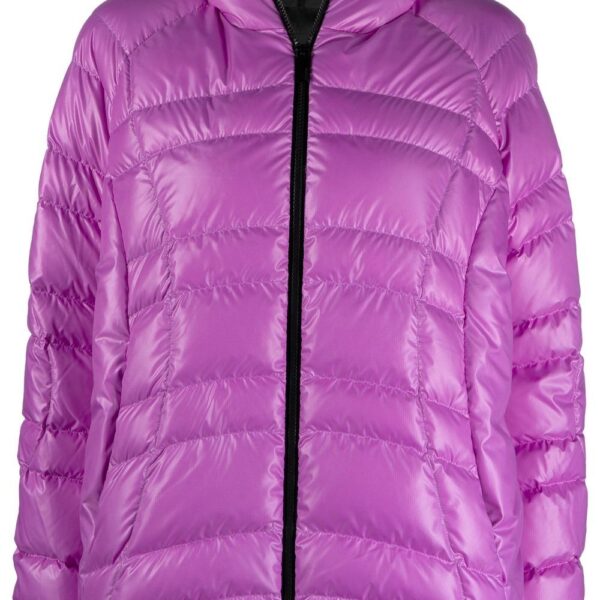 Moncler  hooded padded jacket