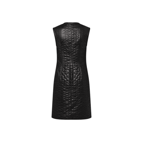 Louis Vuitton Pinstripe Leather Fitted Dress