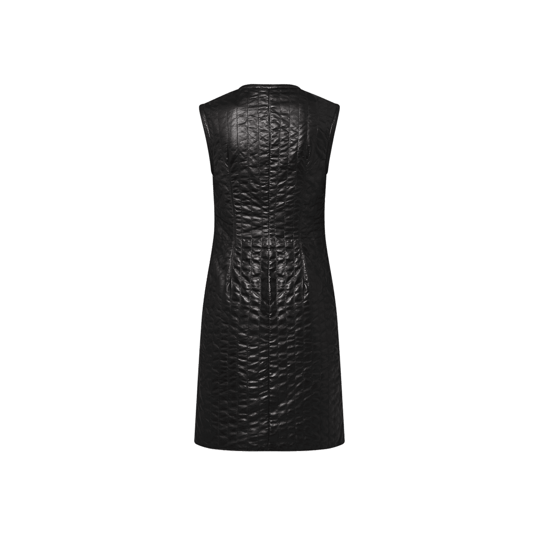 louis-vuitton-pinstripe-leather-fitted-dress-ready-to-wear-FPLD99ZB8900_PM1_Backview