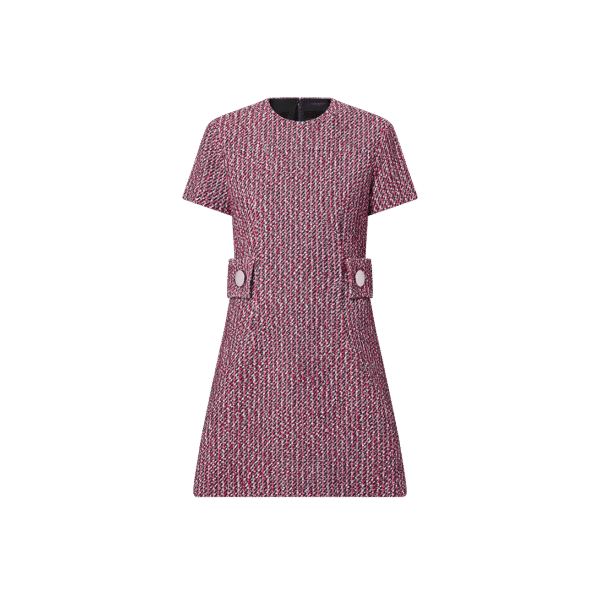 Louis Vuitton Tricolor Skater Dress